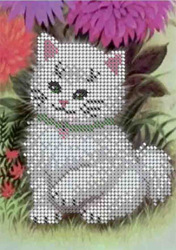 Котенок А6-Д-091