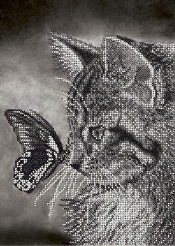 Кошка А4-К-021