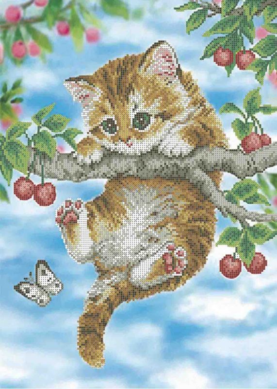 Вишневе кошеня А3-К-290
