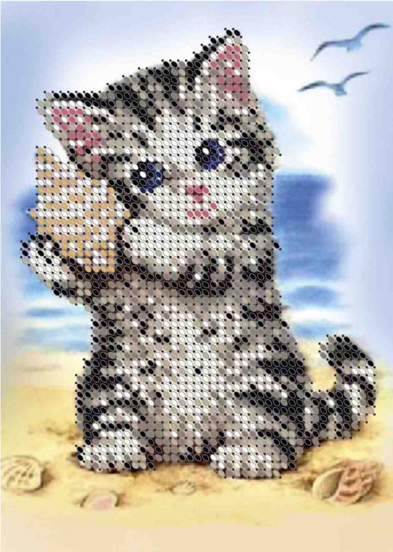 Кошеня на морі А6-Д-015