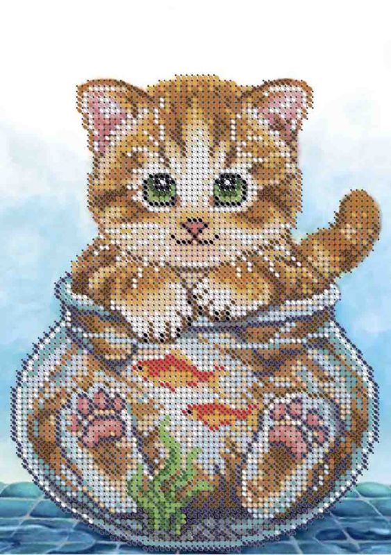 Котик у акваріумі А5-Д-496
