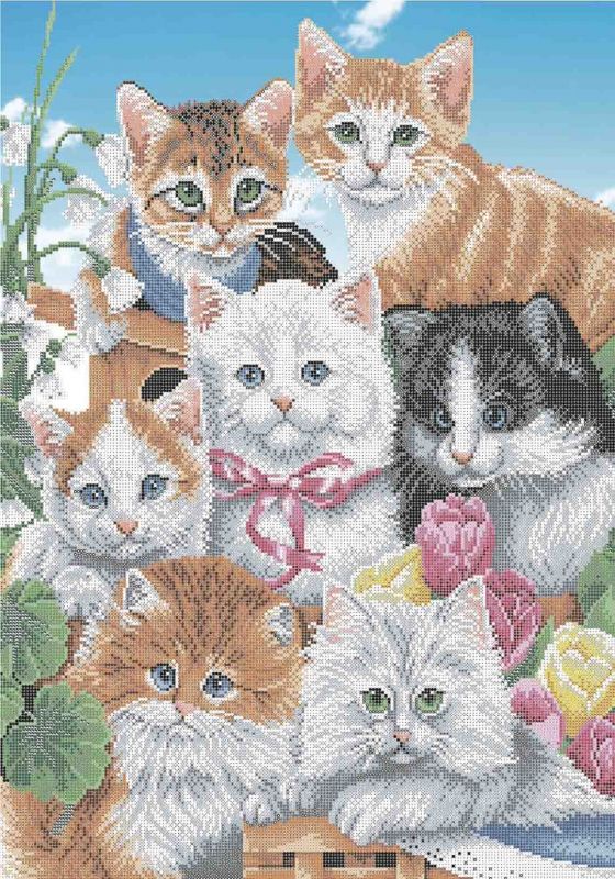 Весенние котята А2-К-1123